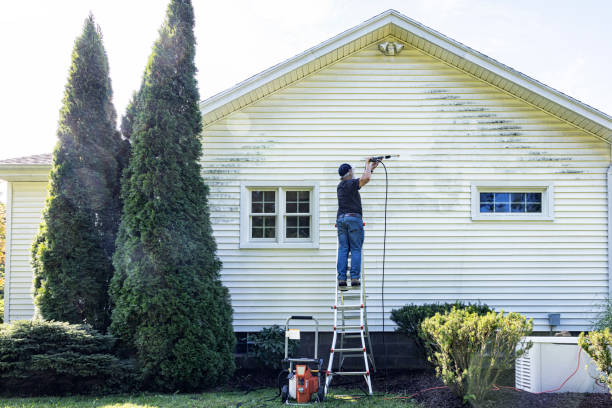Best Roof Washing  in Estell Manor, NJ